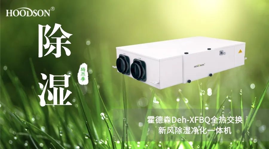 梅雨季“濕”意難擋，幸好有TA助您輕松破局！5