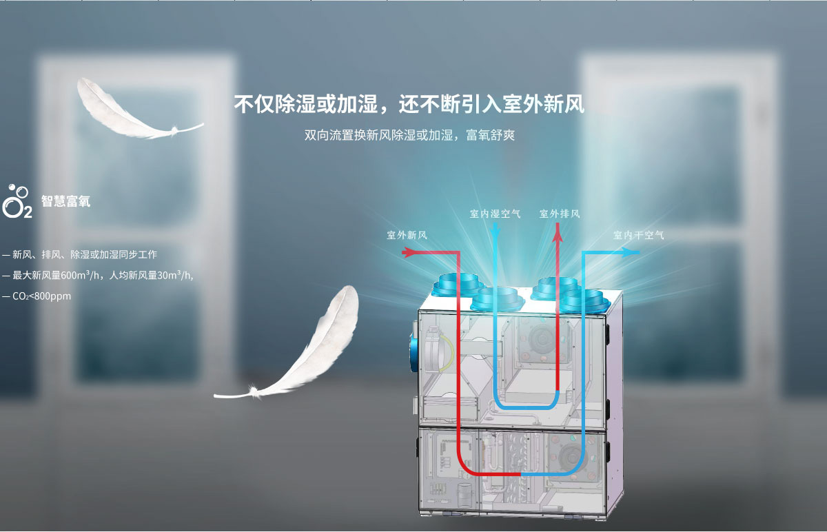 智恒系列——全空氣智能柜式等溫除濕新風(fēng)機(jī)組1200_04